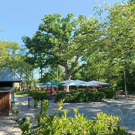 Hotel Schloesschen Sundische Wiese Zingst Zewnętrze zdjęcie